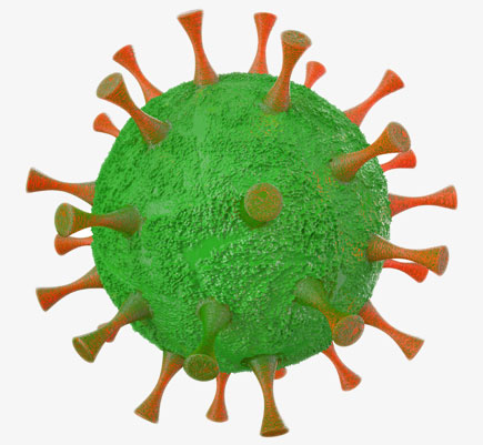 Representación de virus del papiloma humano como causa de verrugas genitales