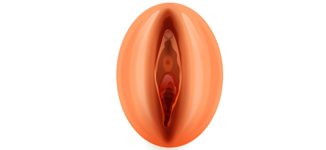Volumen de los labios genitales