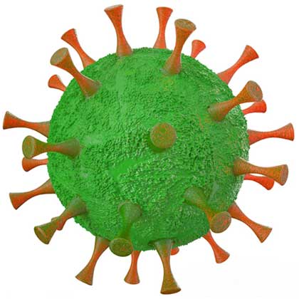 Virus del VPH